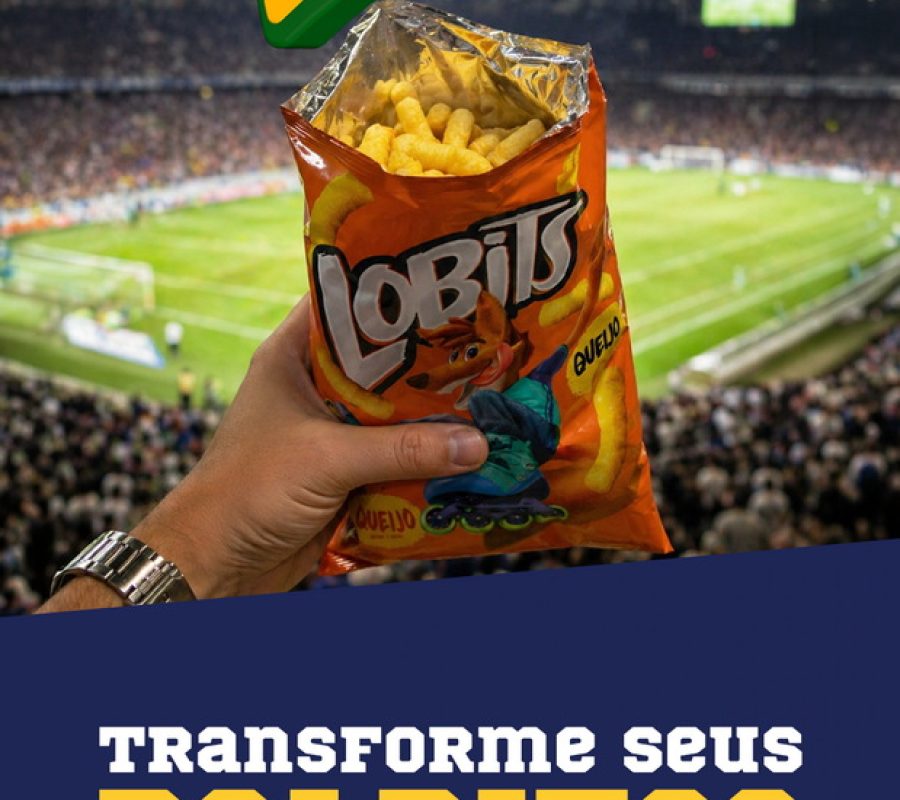 Lobits-Case-01a