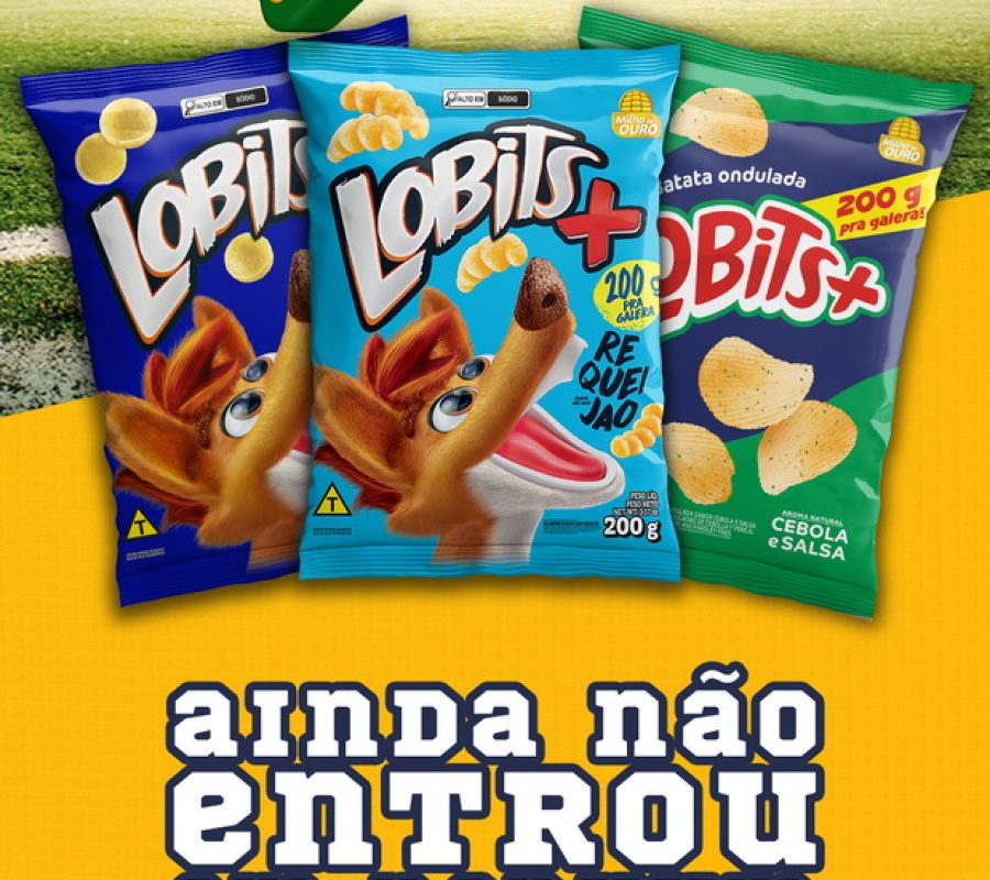 Lobits-Case-03a
