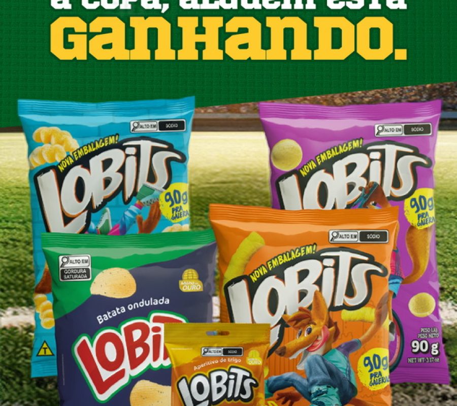 Lobits-Case-05a