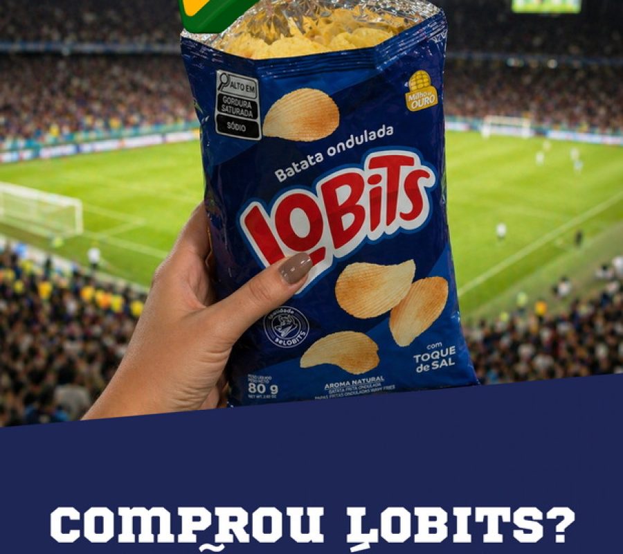 Lobits-Case-06a